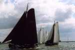 Ahoy 2003